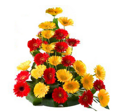 flower delivery gurgaon