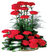 flower delivery gurgaon